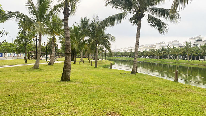 Thảm thực vật rộng mở bên hồ Đảo Cọ